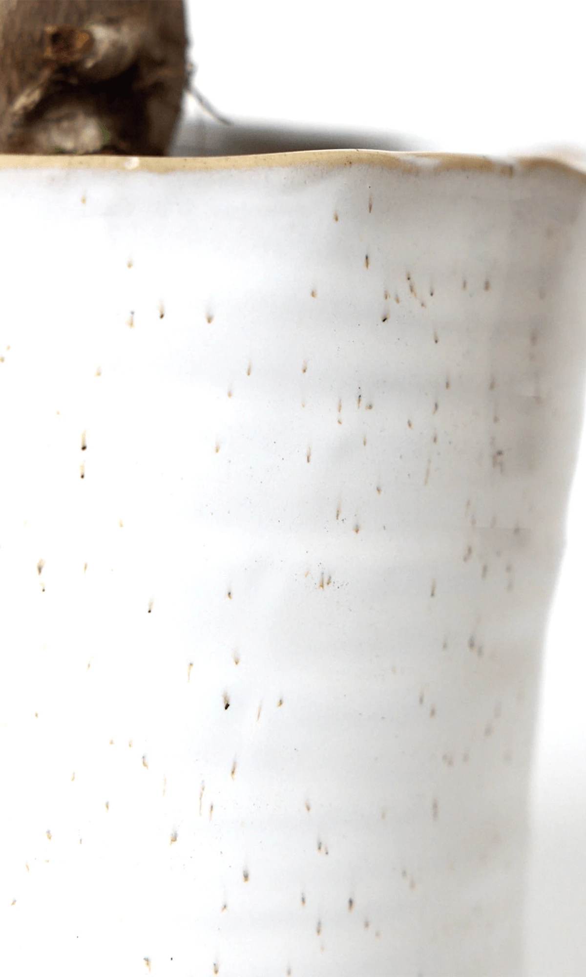 Close-up of the speckles pattern and uneven rim on a Chive Channa white speckles ceramic medium pot.