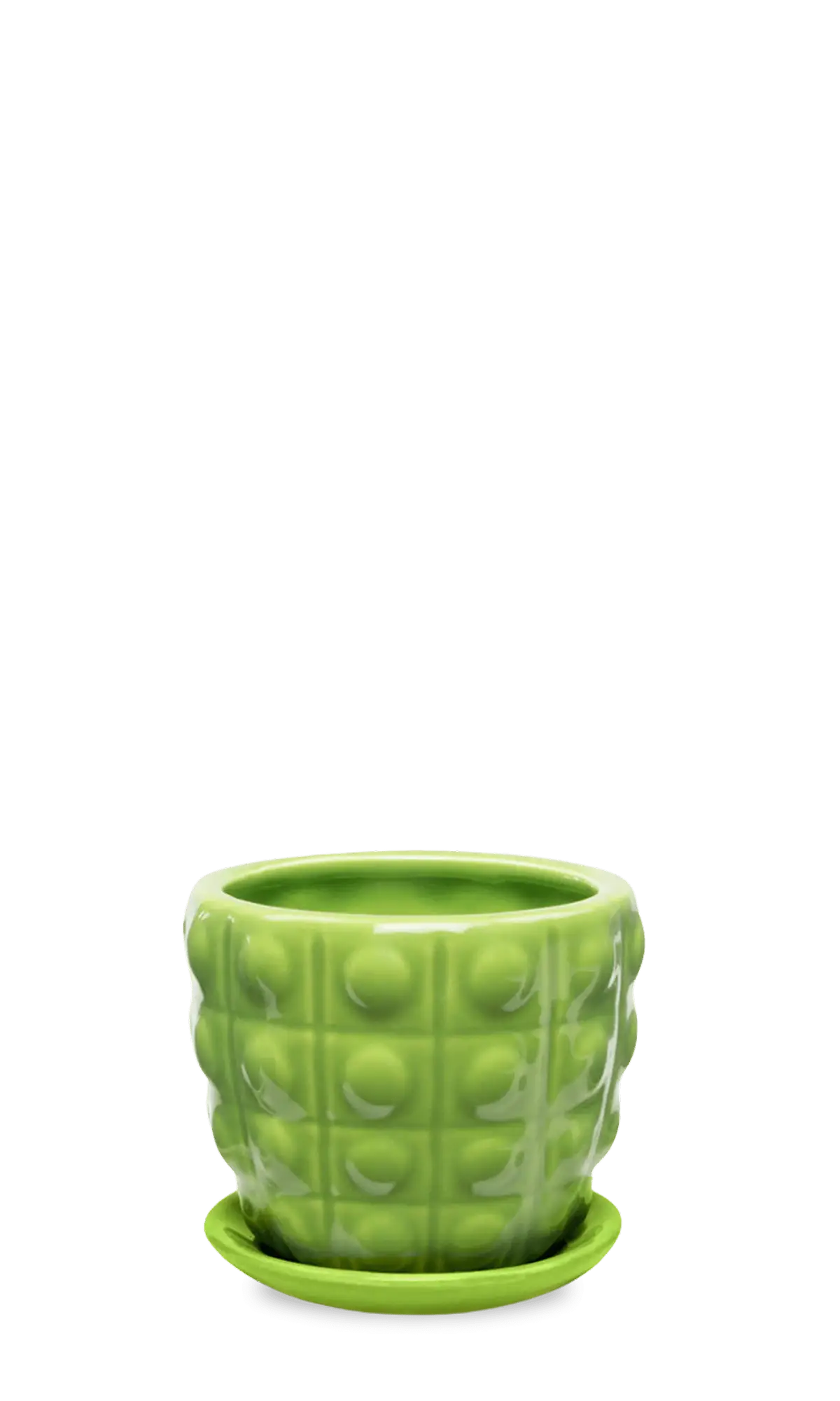 Chive Convex green fully glazed bubble-textured ceramic medium planter with saucer.