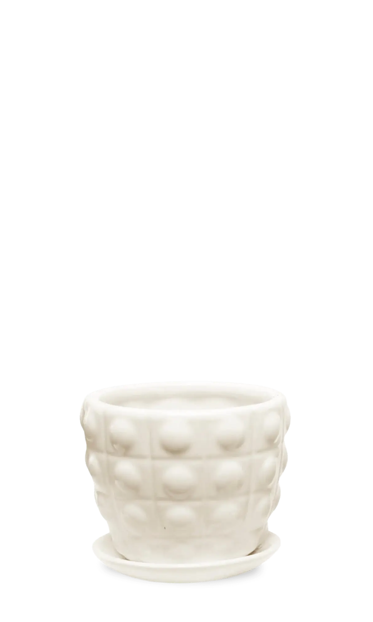 Chive Convex white fully glazed bubble-textured ceramic medium planter with saucer.