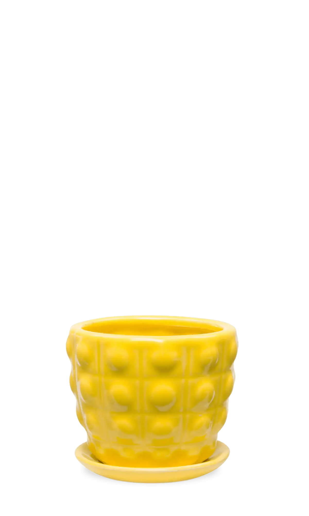 Chive Convex yellow fully glazed bubble-textured ceramic medium planter with saucer.