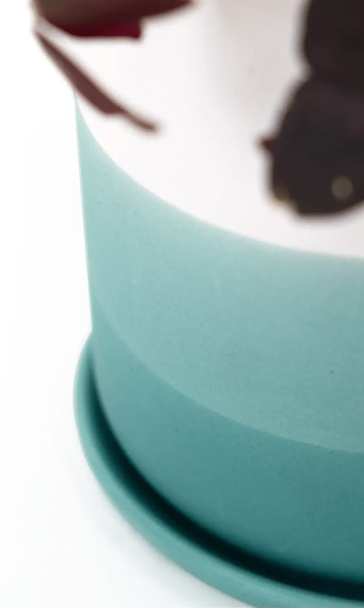 Close up of a Chive Devo ceramic planter with ombre white to teal gradient holding an oxalis.