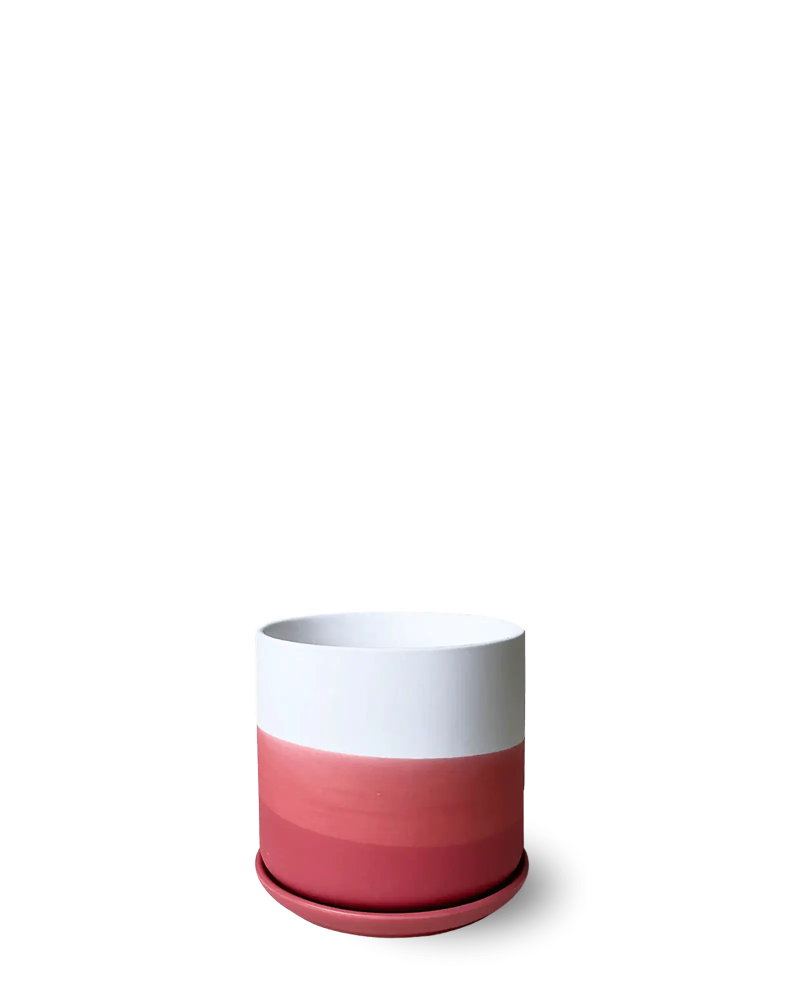 Chive Devo ceramic medium planter with ombre white to raspberry gradient finish and saucer.