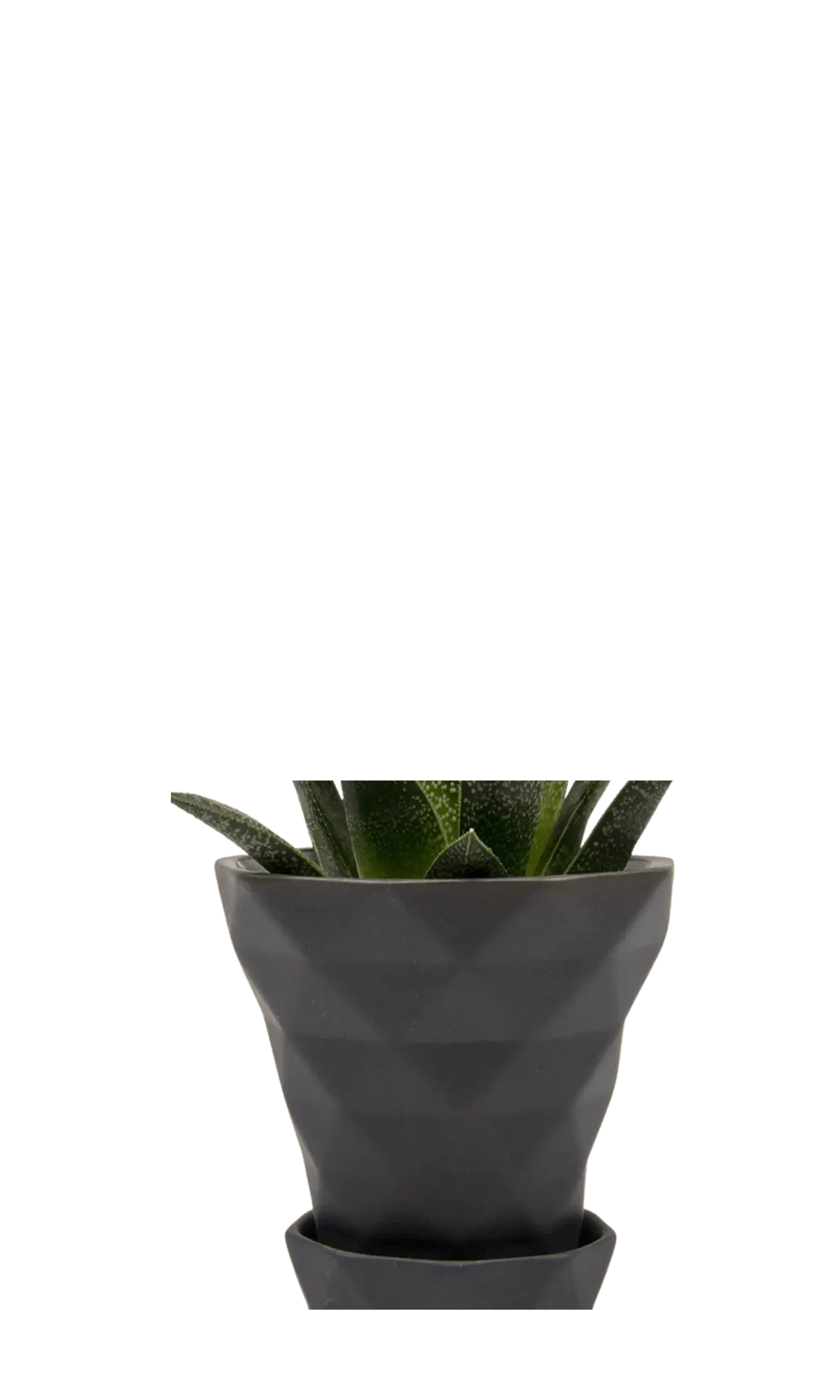 Chive Diamond black geometric faceted ceramic small planter holding a gasteria succulent.