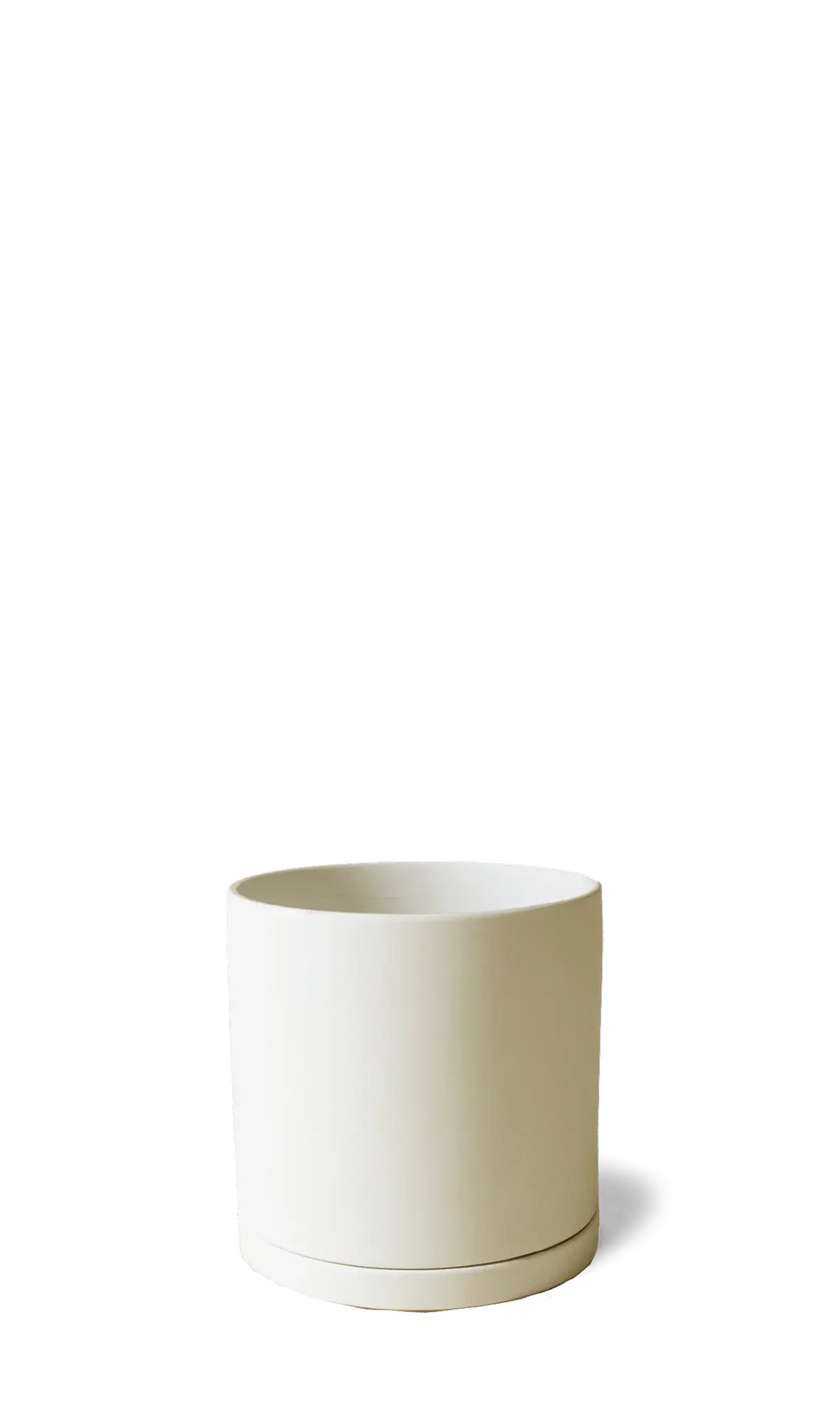 Chive Dojo ceramic planter in warm sandstone with a smooth matte finish and matching detachable saucer.