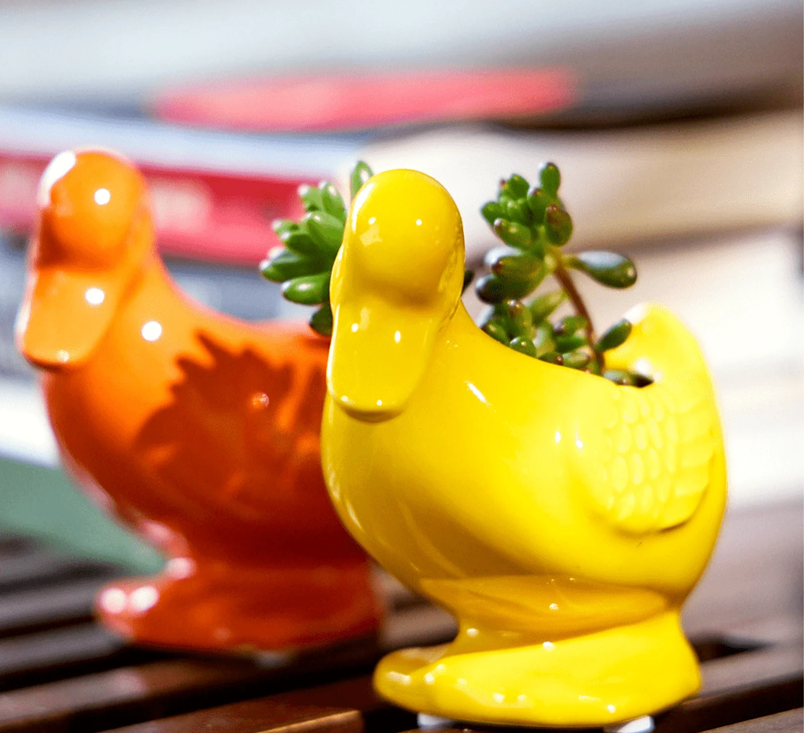 Two Chive Duck ceramic duck shaped planters in yellow and orange, styled with plants on a wood table.