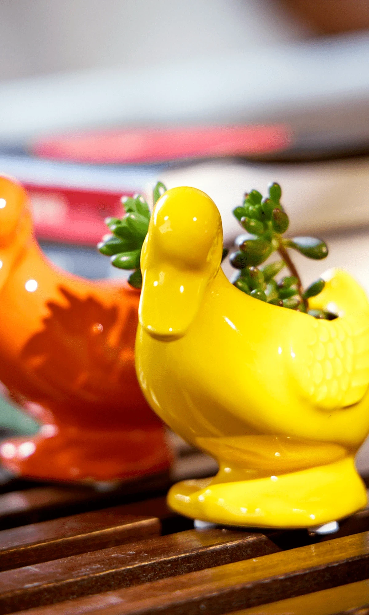 Two Chive Duck ceramic duck shaped planters in yellow and orange, styled with plants on a wood table.