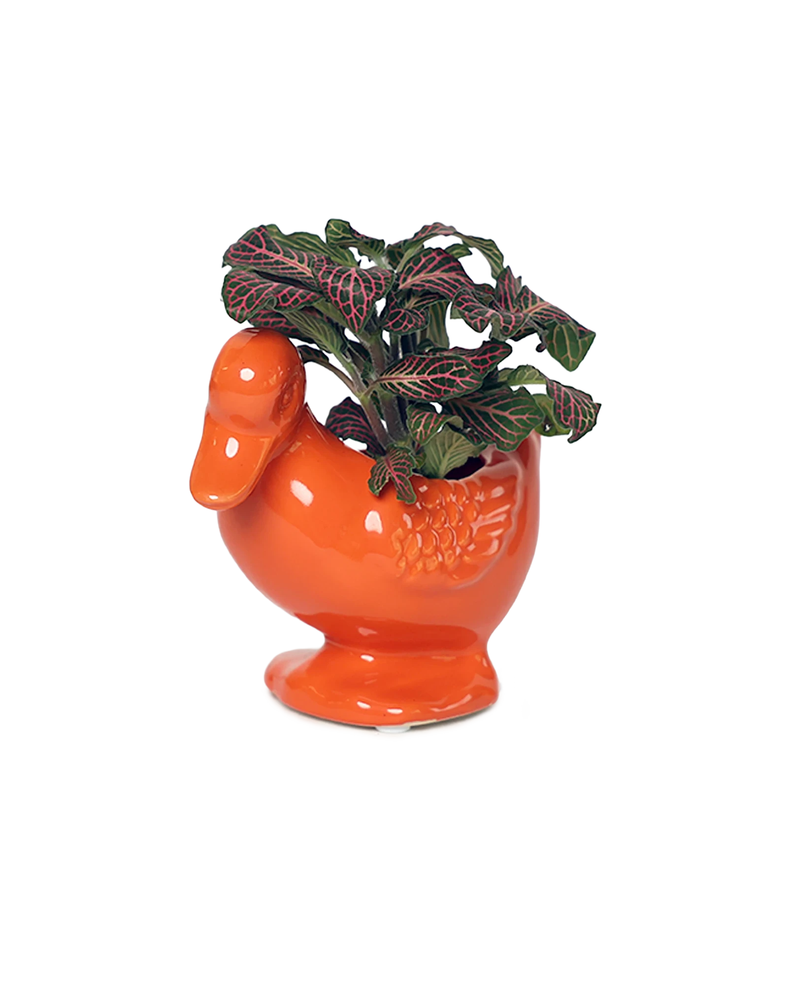 Chive Duck Orange color glazed ceramic duck shaped planter styled with a small plant.