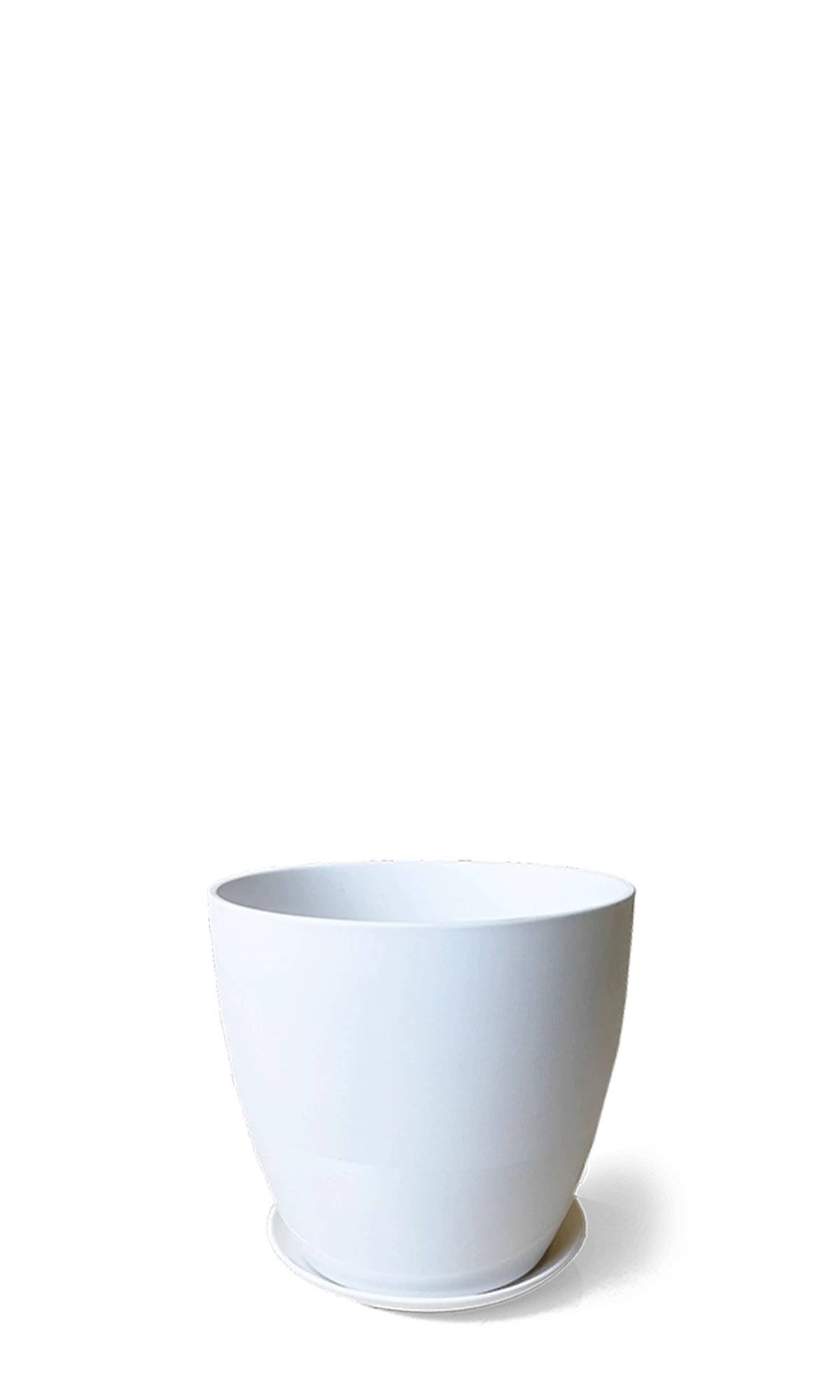 Chive Dyad large white porcelain plant pot with drainage hole and detachable saucer.