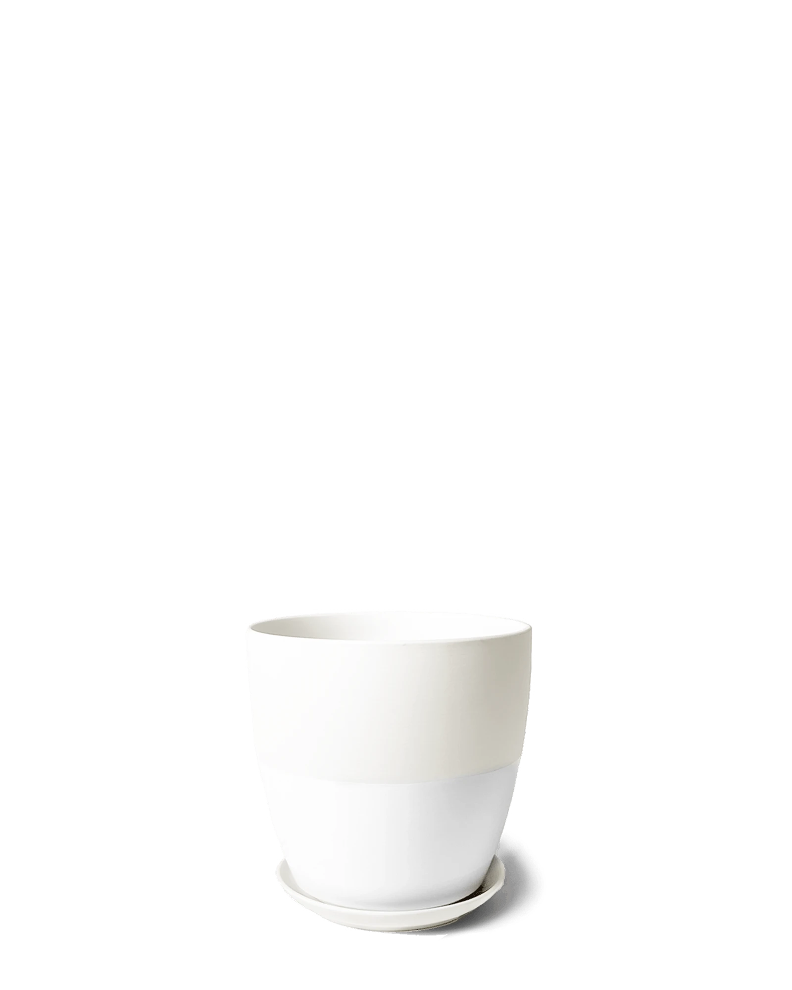 Chive Dyad small white porcelain plant pot with drainage hole and detachable saucer.