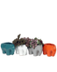 Four Chive Elephant glazed ceramic elephant shaped planters in four colors styled with plants.