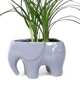 Chive Elephant Grey color glazed ceramic elephant shaped planter styled with a plant.