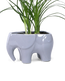 Chive Elephant Grey color glazed ceramic elephant shaped planter styled with a plant.