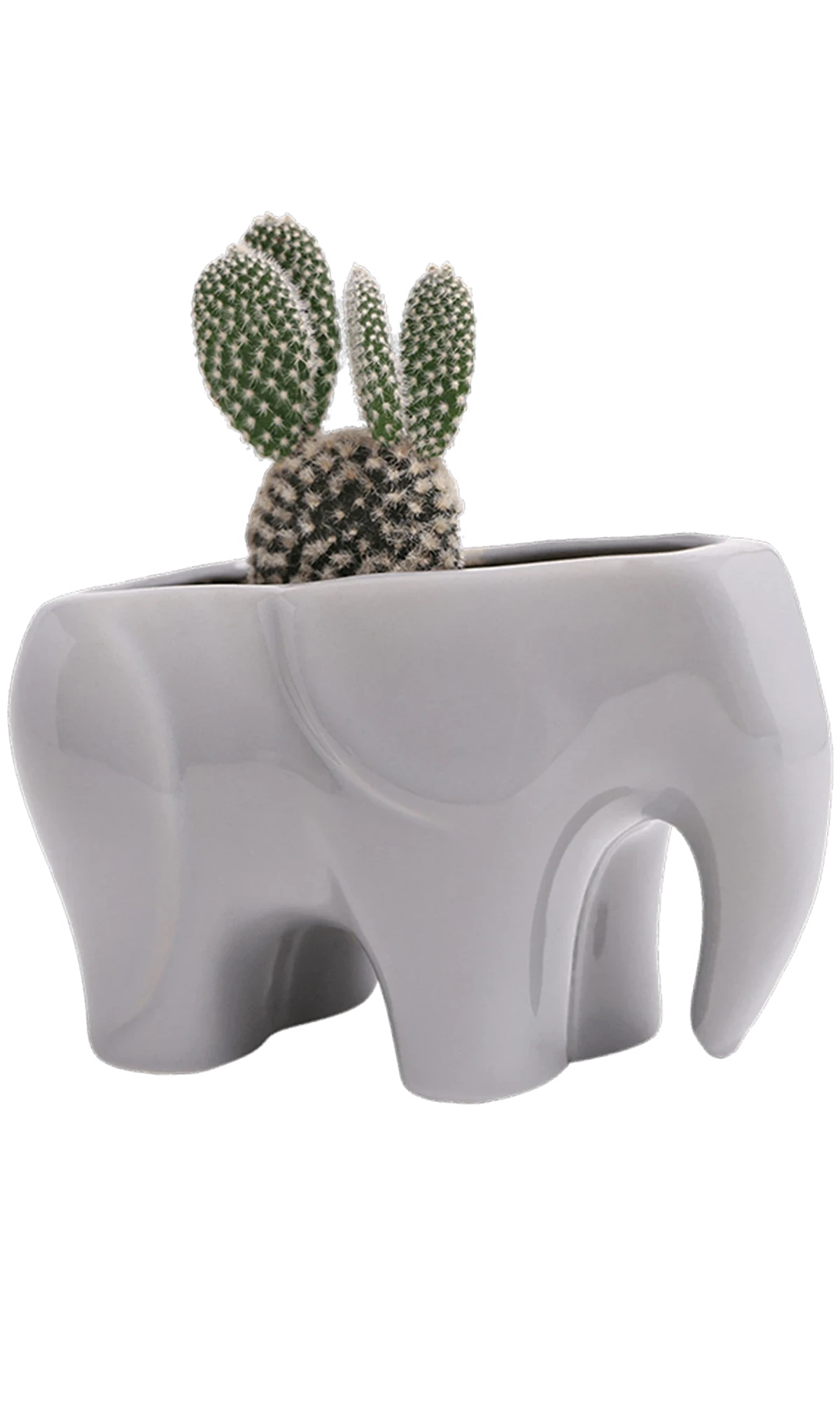 Chive Elephant Grey color glazed ceramic elephant shaped planter styled with a cactus.