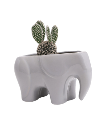 Chive Elephant Grey color glazed ceramic elephant shaped planter styled with a cactus.