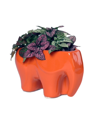 Chive Elephant Orange color glazed ceramic elephant shaped planter styled with a small plant.