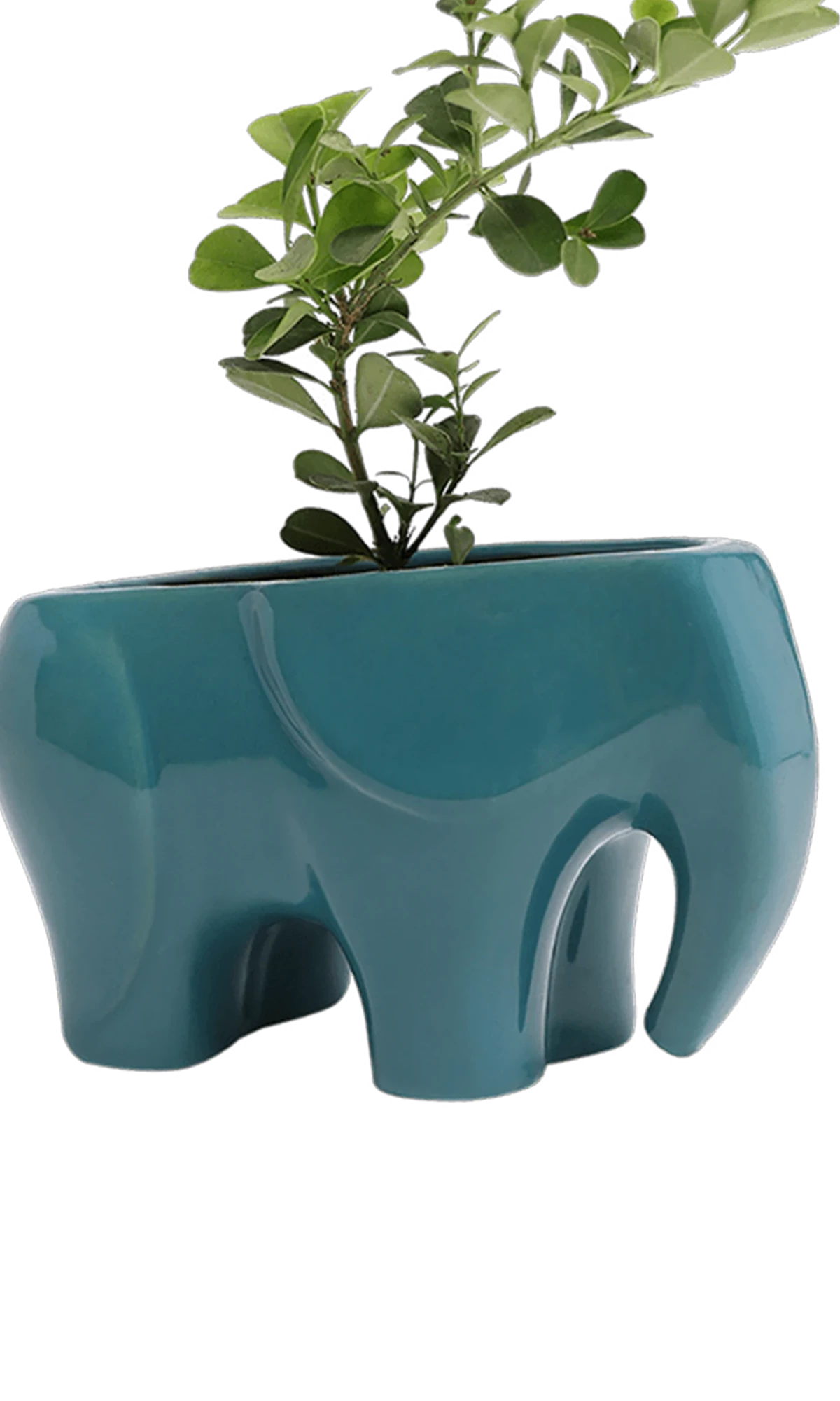 Chive Elephant Teal color glazed ceramic elephant shaped planter styled with a plant.