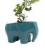 Chive Elephant Teal color glazed ceramic elephant shaped planter styled with a plant.