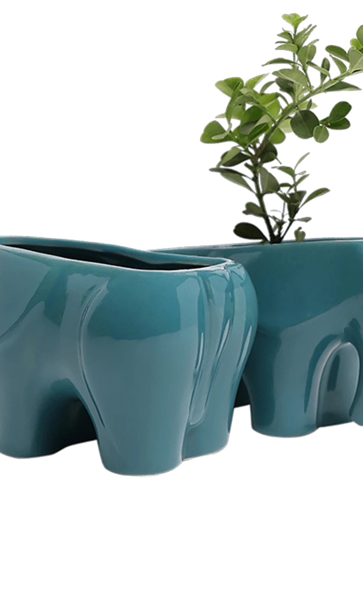 Two Chive Elephant Teal color glazed ceramic elephant shaped planters styled with a plant.