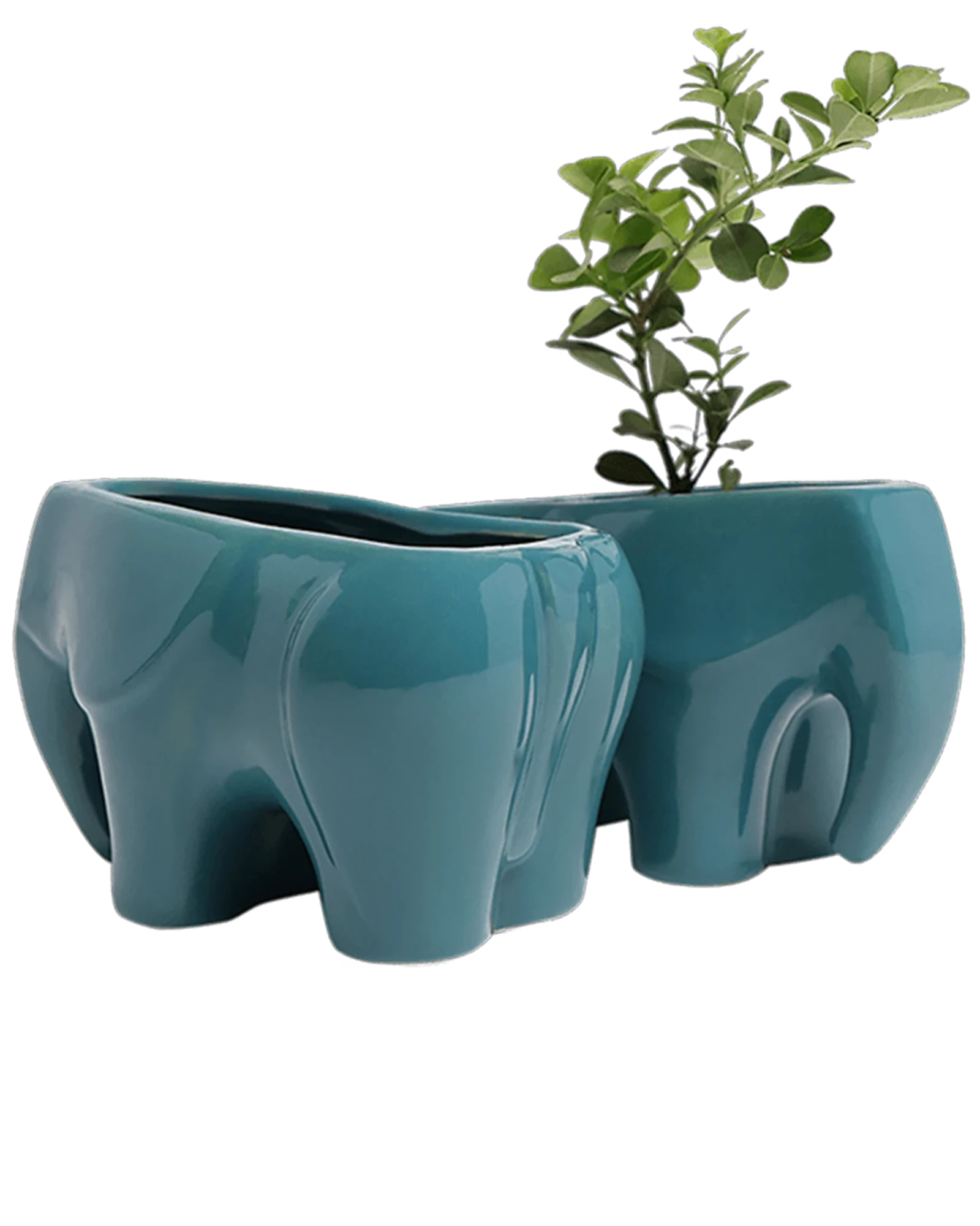 Two Chive Elephant Teal color glazed ceramic elephant shaped planters styled with a plant.