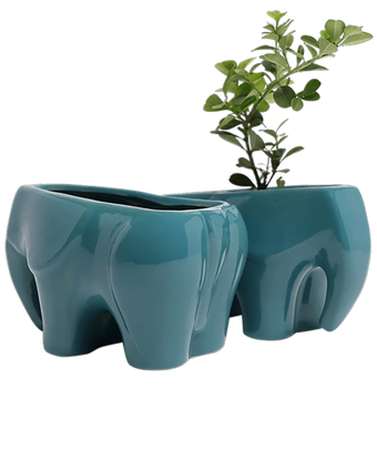 Two Chive Elephant Teal color glazed ceramic elephant shaped planters styled with a plant.