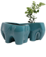 Two Chive Elephant Teal color glazed ceramic elephant shaped planters styled with a plant.