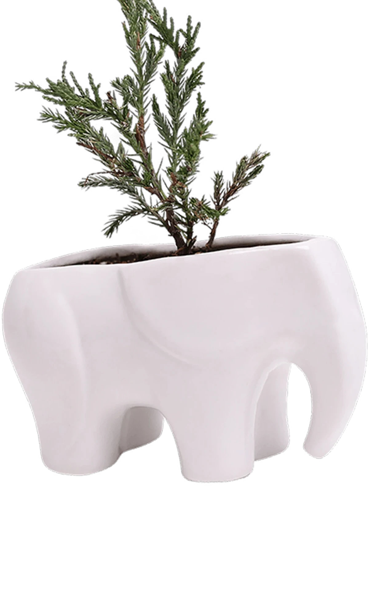 Chive Elephant White color glazed ceramic elephant shaped planter styled with a plant.