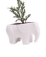 Chive Elephant White color glazed ceramic elephant shaped planter styled with a plant.
