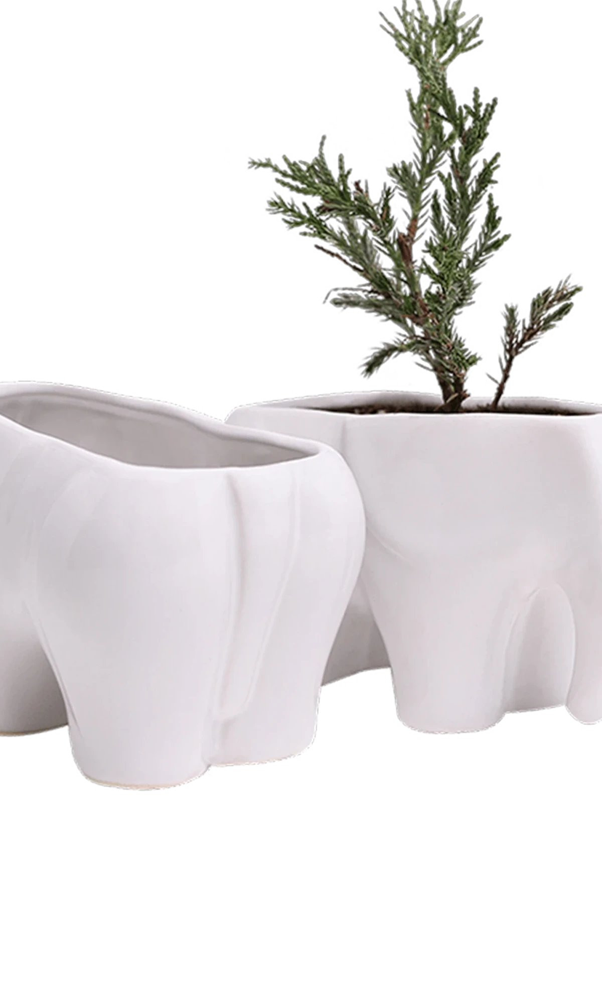 Two Chive Elephant White color glazed ceramic elephant shaped planters styled with a plant.