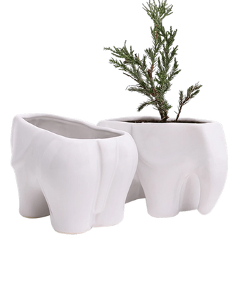 Two Chive Elephant White color glazed ceramic elephant shaped planters styled with a plant.