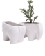 Two Chive Elephant White color glazed ceramic elephant shaped planters styled with a plant.