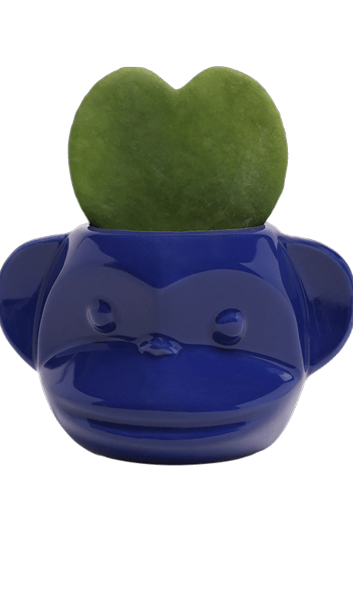 Chive Funky Monkey Blue glazed ceramic monkey shaped planter styled with a hoya kerrii plant.