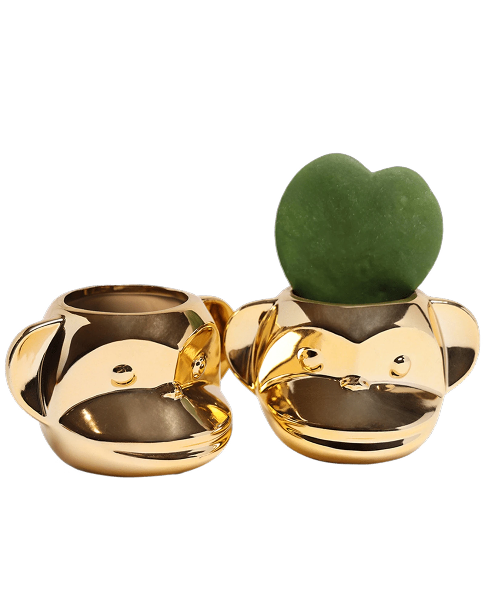 Two Chive Funky Monkey Gold color glazed ceramic monkey shaped planters styled with a small plant.