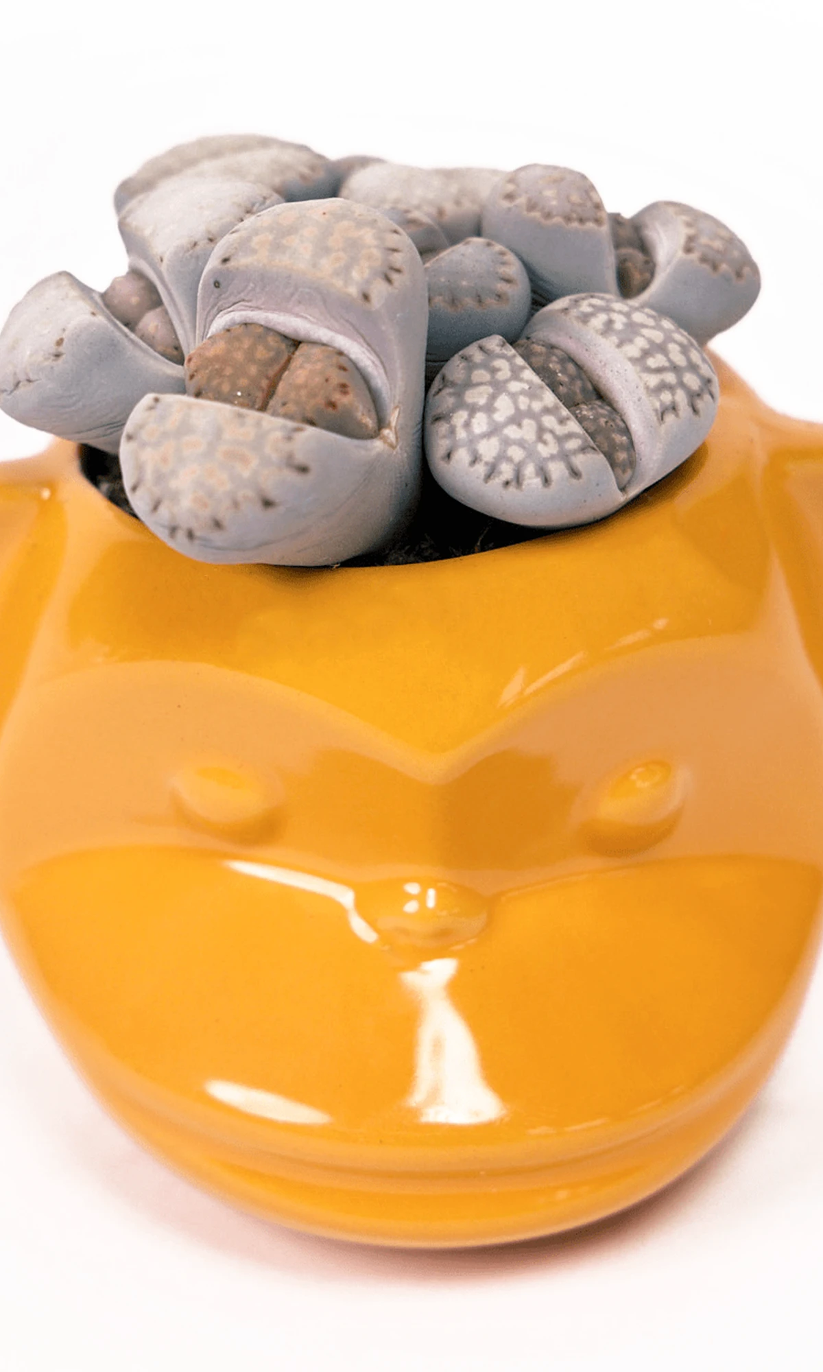 Chive Funky Monkey Orange glazed ceramic monkey shaped planter styled with a succulent.