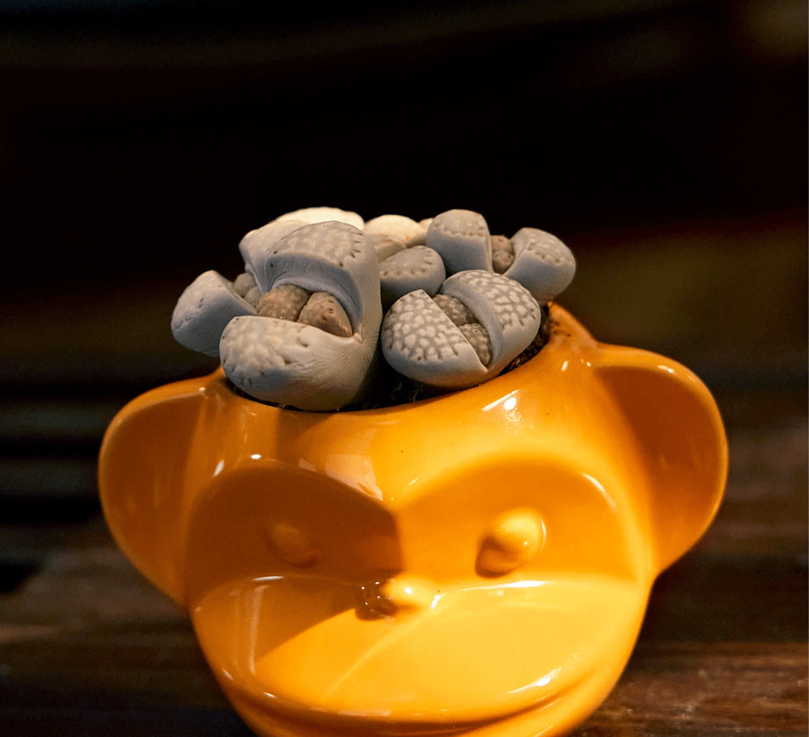 Chive Funky Monkey Orange color glazed ceramic monkey shaped planter styled with a succulent on a wood table.