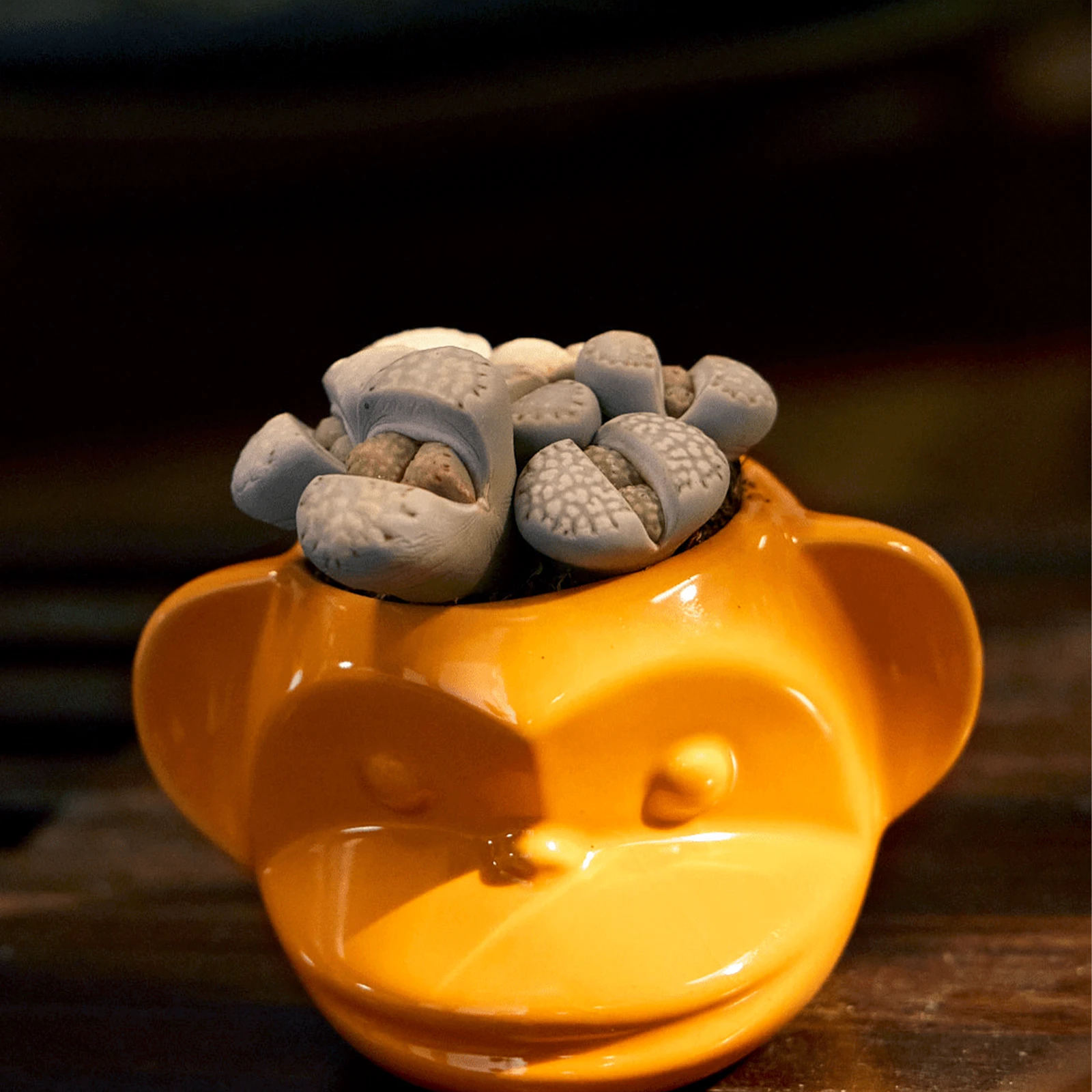 Chive Funky Monkey Orange color glazed ceramic monkey shaped planter styled with a succulent on a wood table.