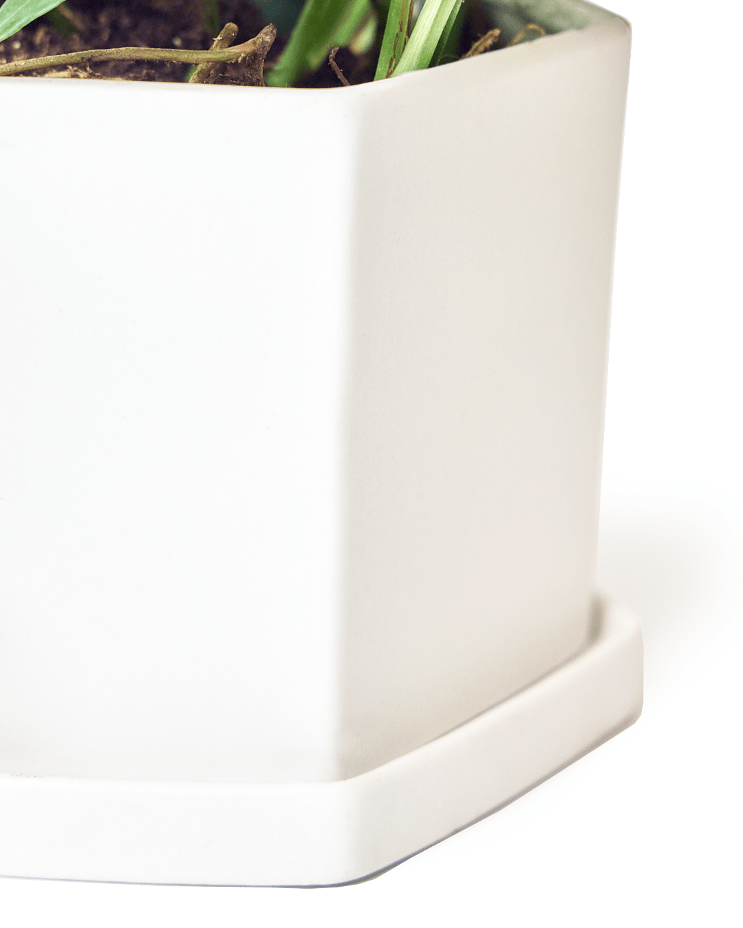 Close-up of the Chive Hexi small white porcelain pot showing the color and matte finish.