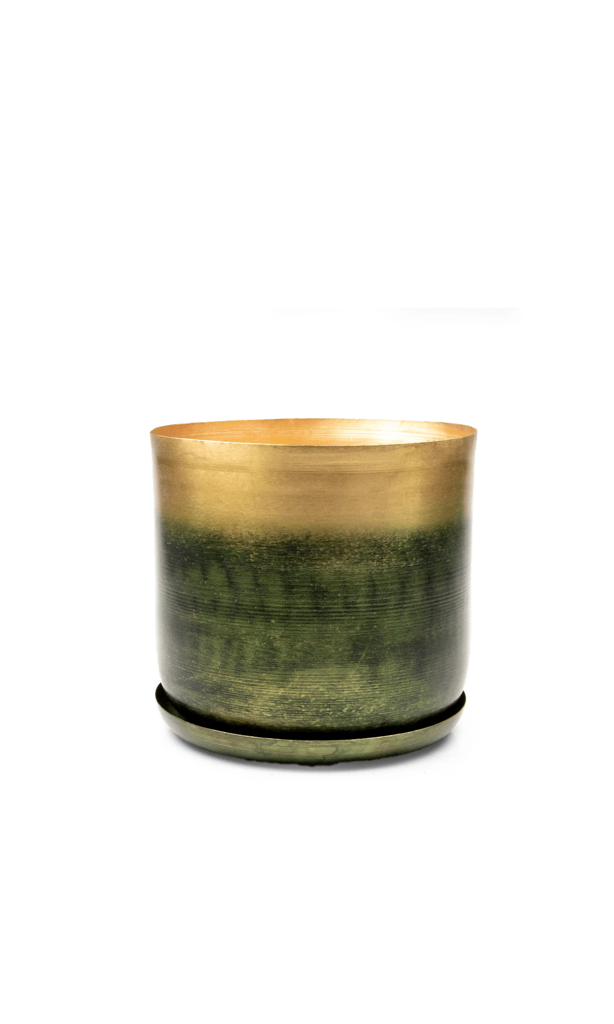 Chive Joe large forest gold metal pot with drainage hole and detachable saucer.
