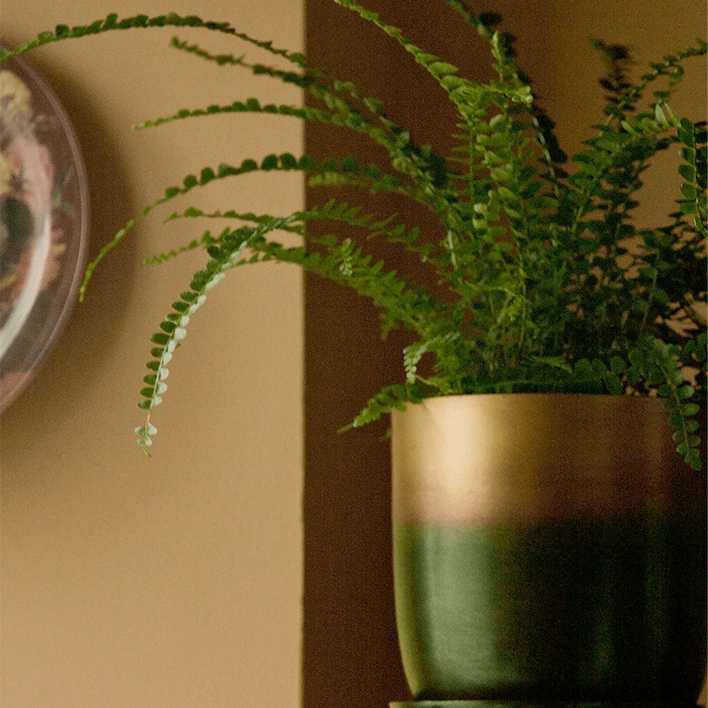 Chive Joe forest gold metal pots styled with a plant on a wood shelf in a home setting.