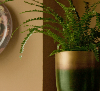 Chive Joe forest gold metal pots styled with a plant on a wood shelf in a home setting.