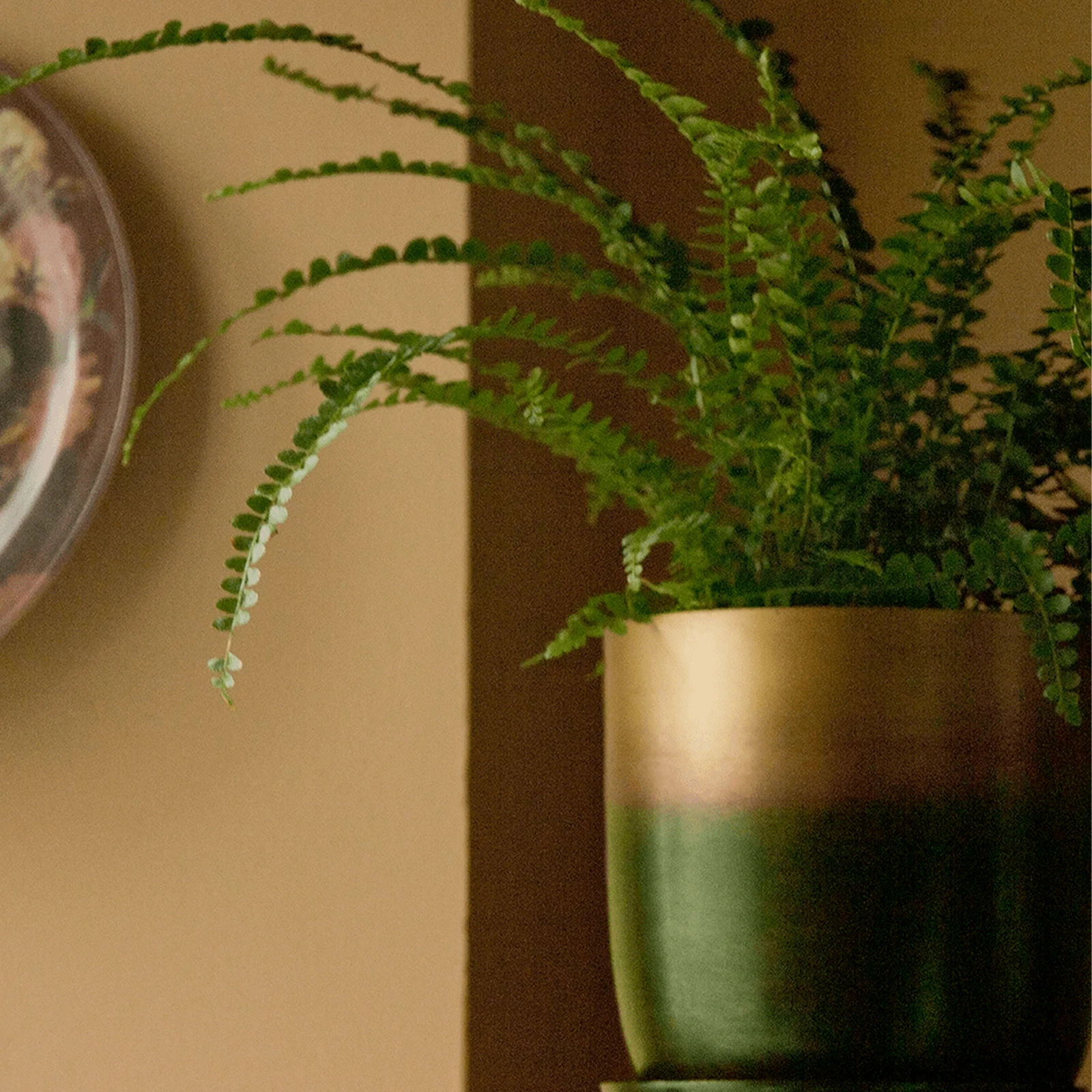 Chive Joe forest gold metal pots styled with a plant on a wood shelf in a home setting.