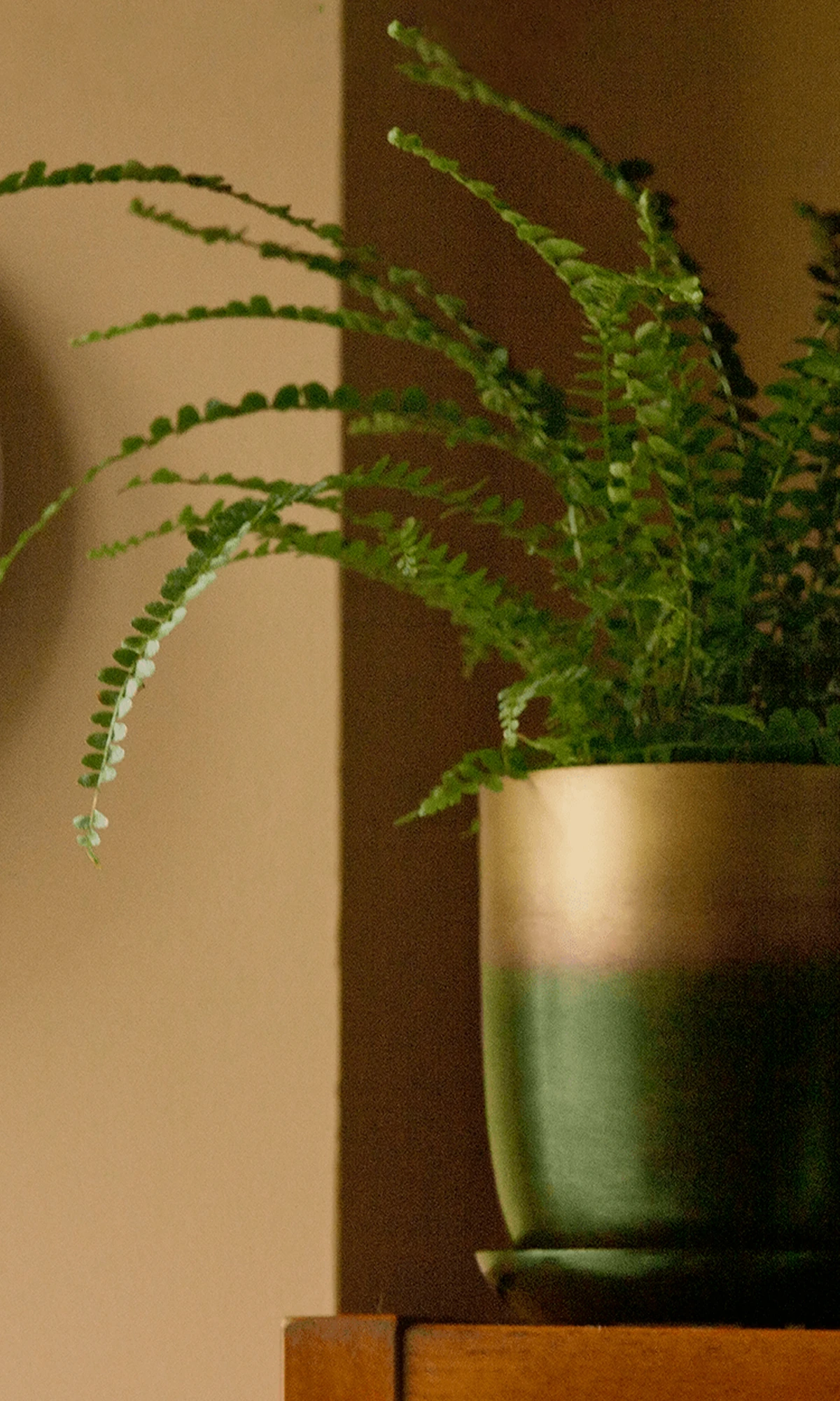 Chive Joe forest gold metal pots styled with a plant on a wood shelf in a home setting.