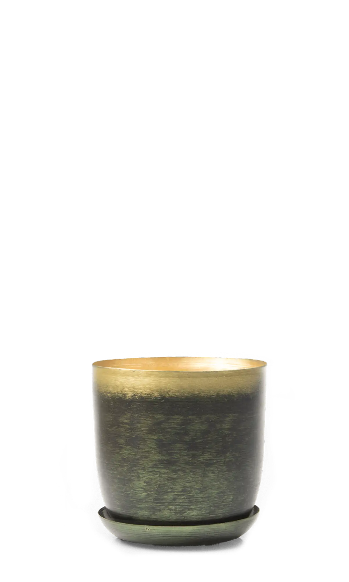 Chive Joe medium metal planter in forest gold with a gradient finish, gold interior, and matching saucer.