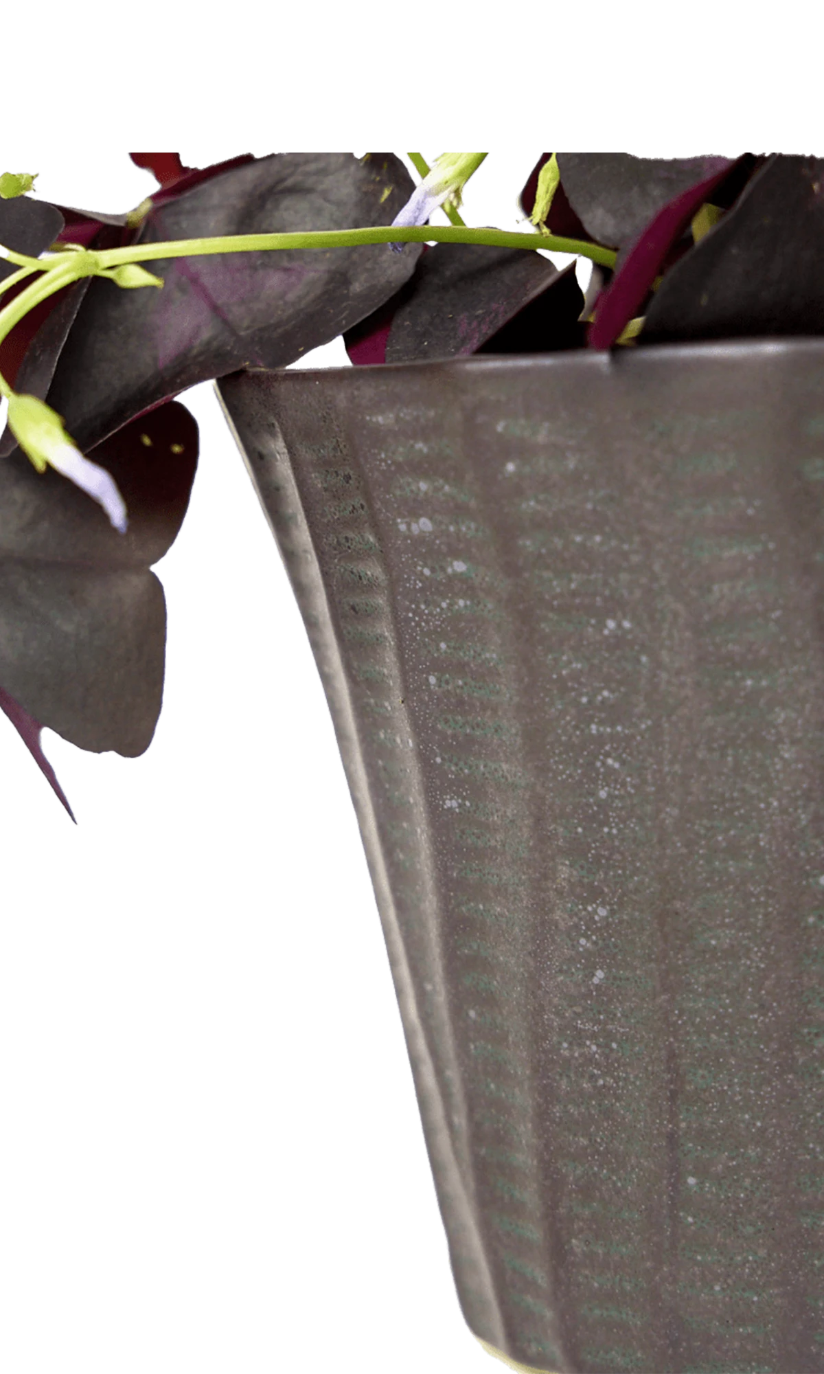 Close-up of the vertical ribbed texture finish on a Chive Katakana black ceramic pot.