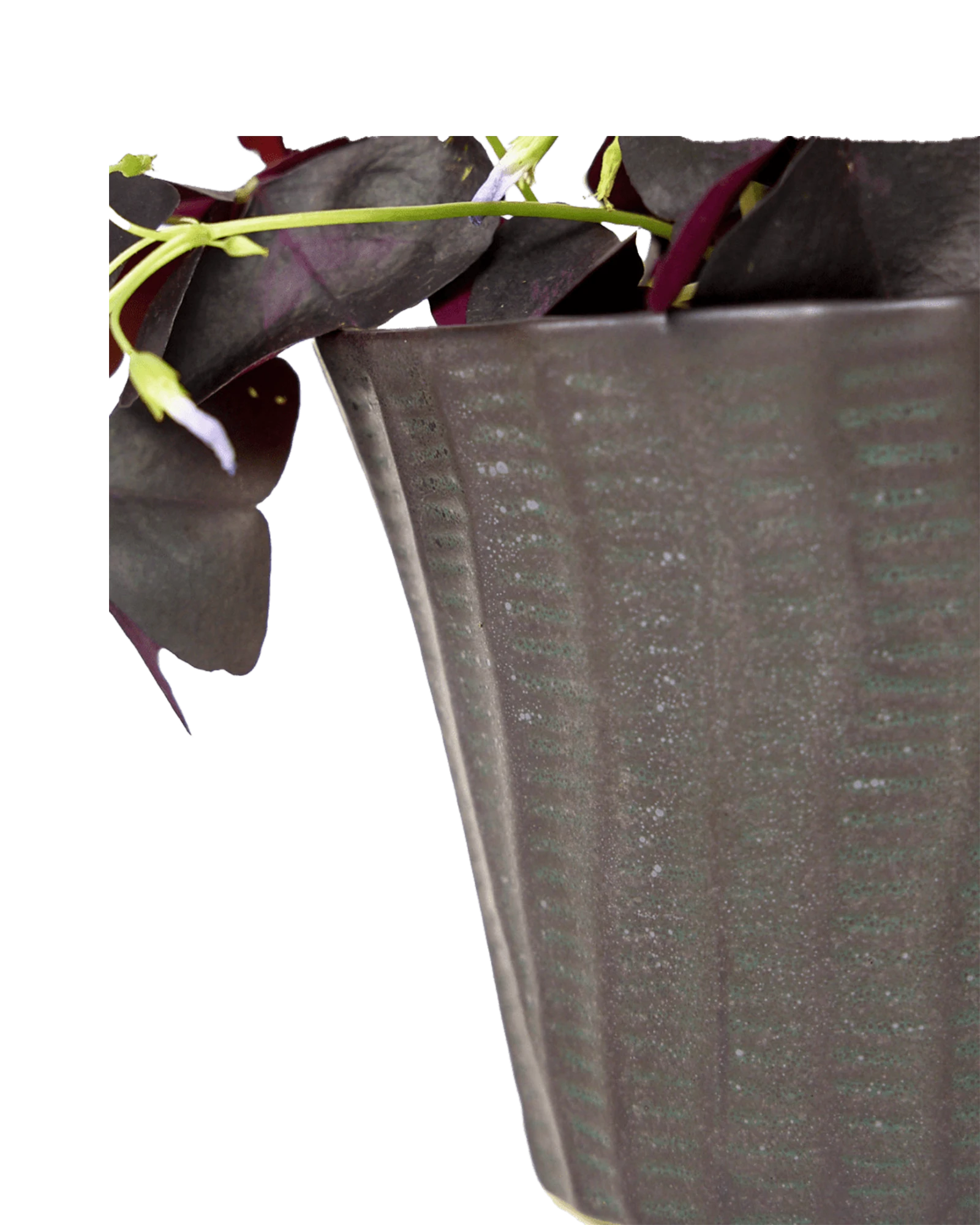Close-up of the vertical ribbed texture finish on a Chive Katakana black ceramic pot.