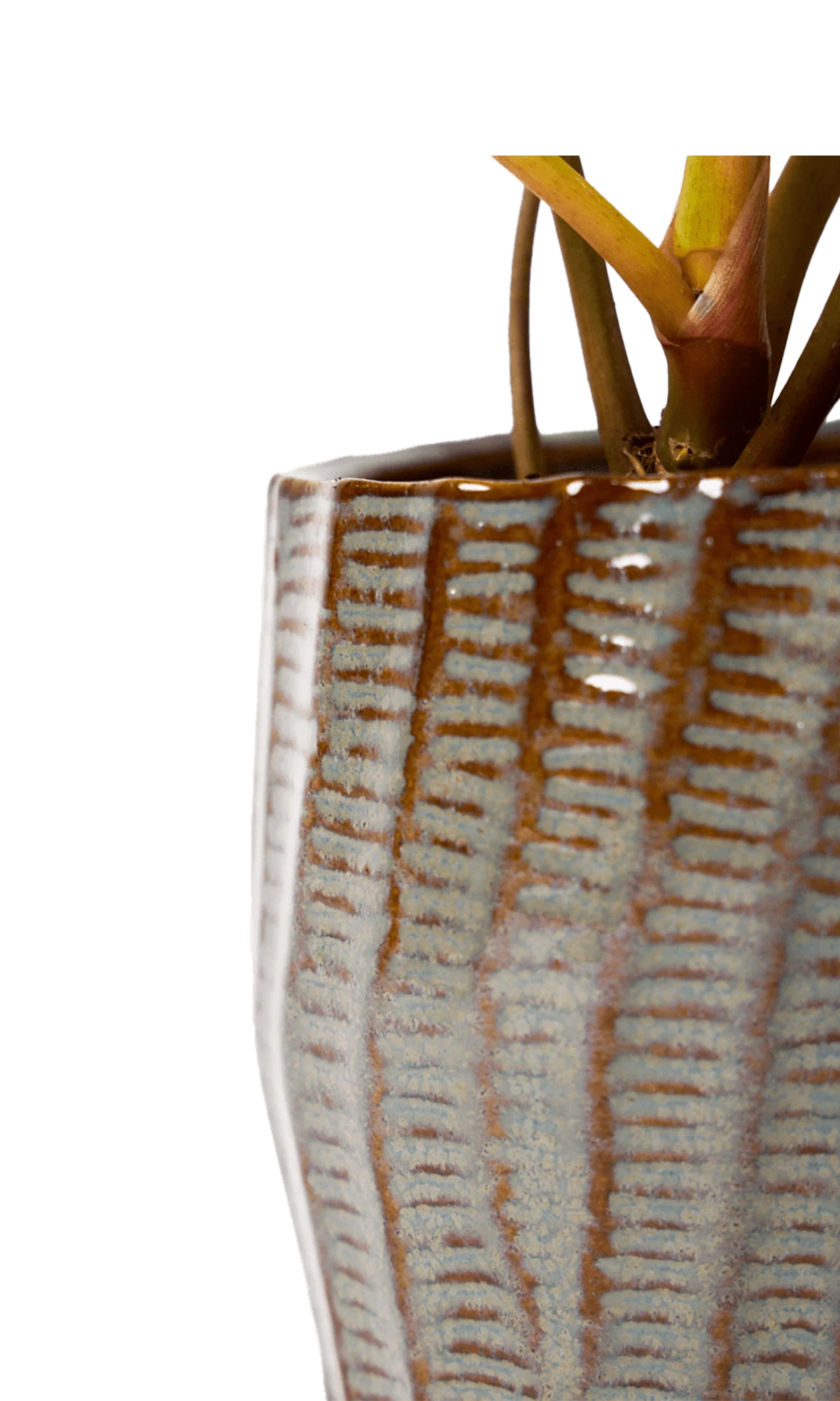 Close-up of the glaze color and textured finish on a Chive Katakana brown ceramic pot.