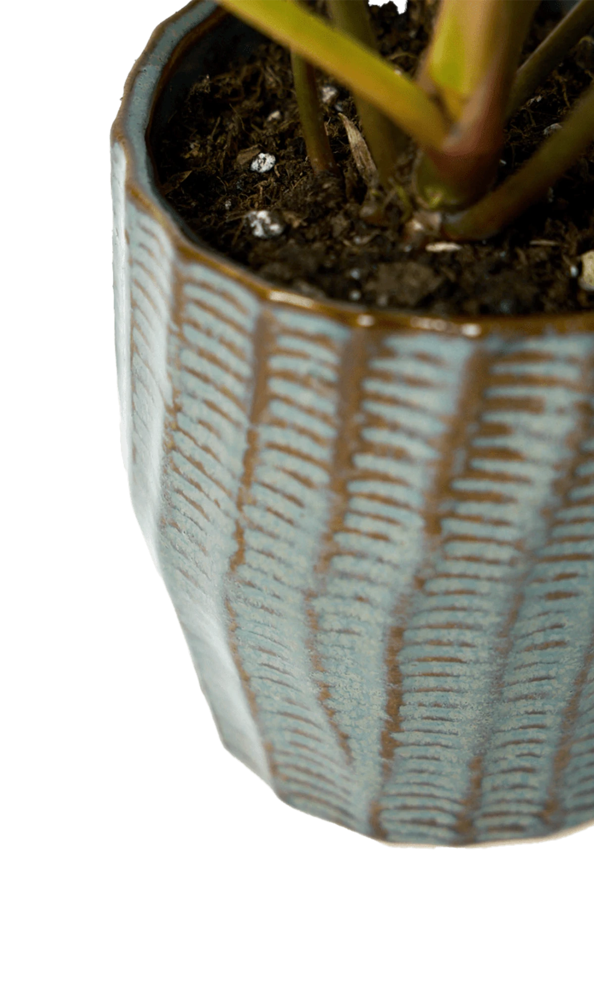 Close-up of the vertical ribbed texture finish on a Chive Katakana brown ceramic pot.