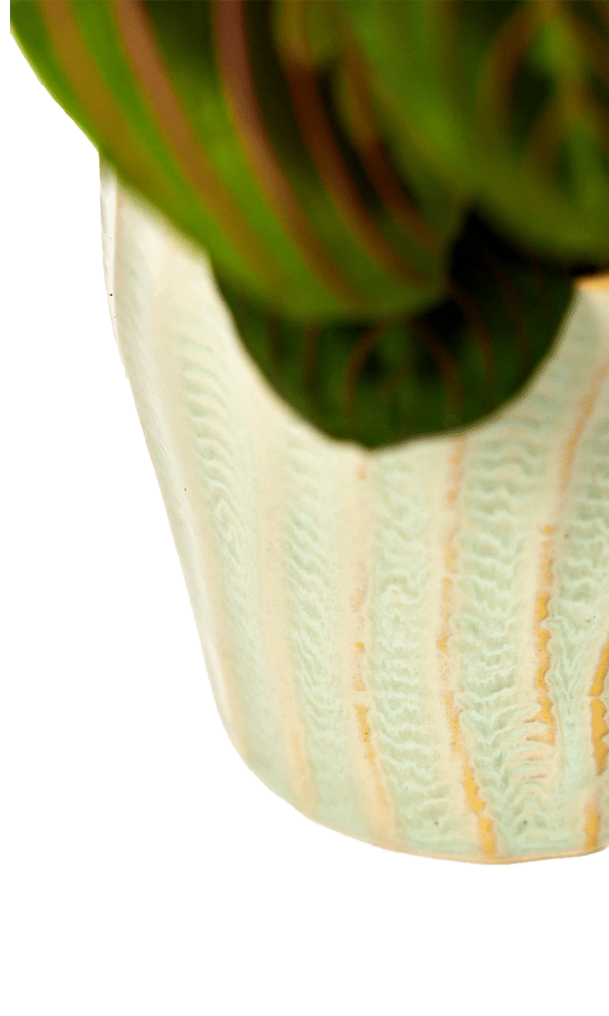 Close-up of the glaze color and textured finish on a Chive Katakana green ceramic pot.