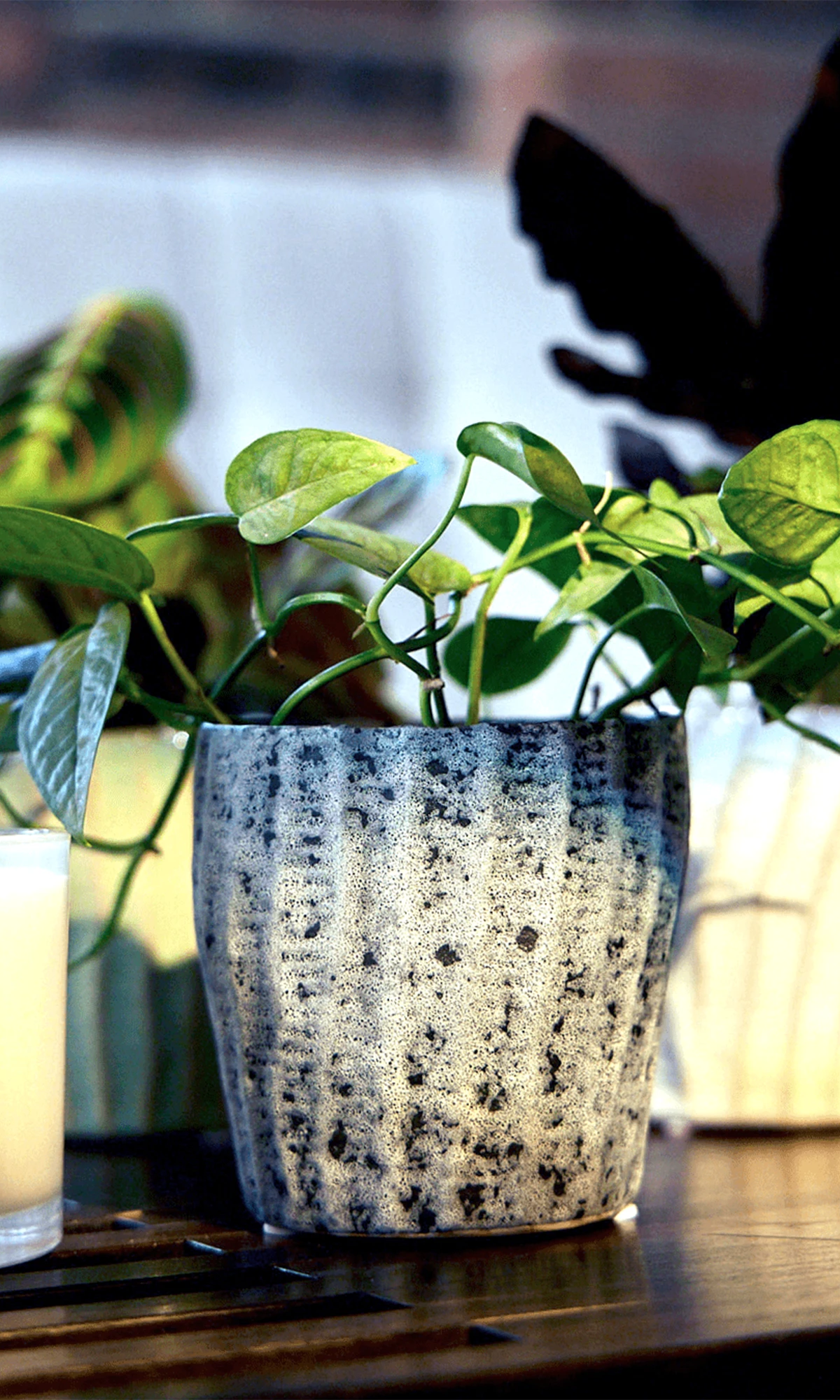 Multiple Chive Katakana ceramic planter pots styled with plants on a wood table.