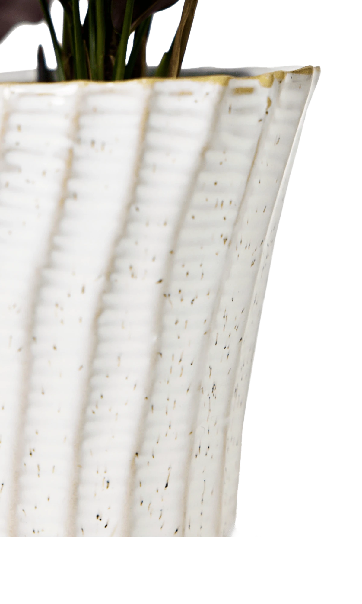 Close-up of the color and vertical ribbed texture finish on a Chive Katakana white ceramic pot.