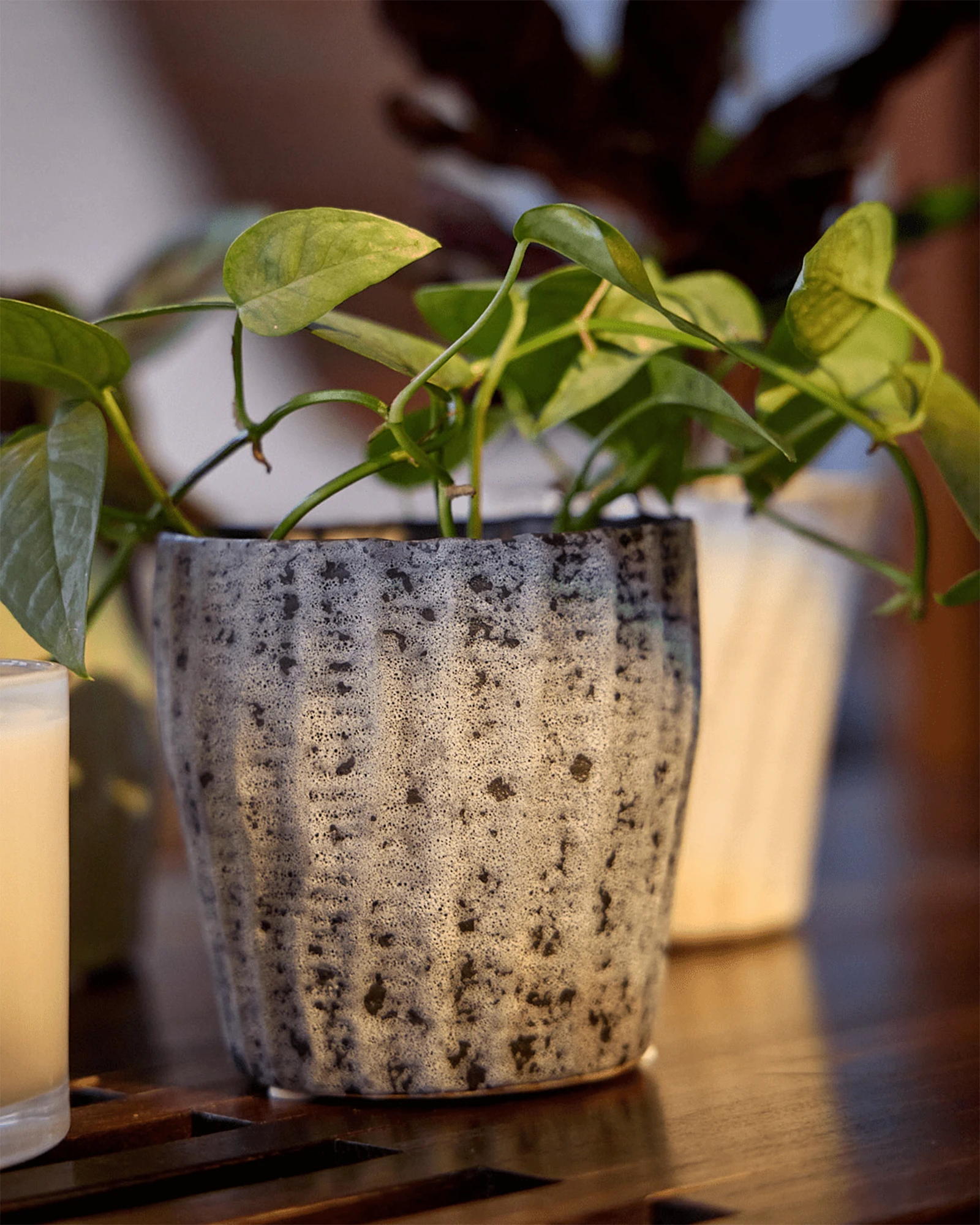 Chive Katakana textured ceramic planter pots in white black styled with plants on a wood table.